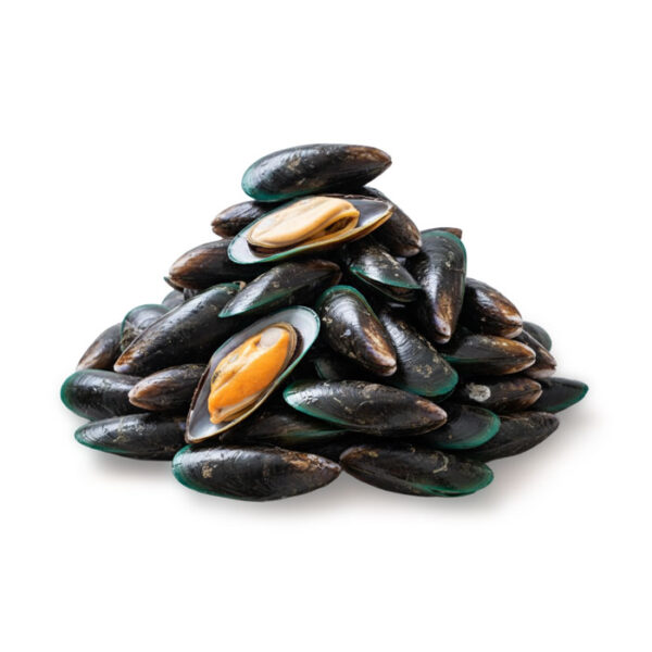 Tahong (Green Mussels / Fresh & Meaty)
