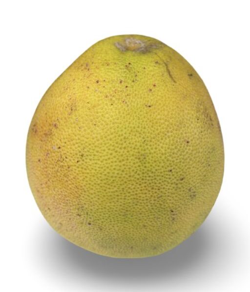 Pomelo (Suha Davao)