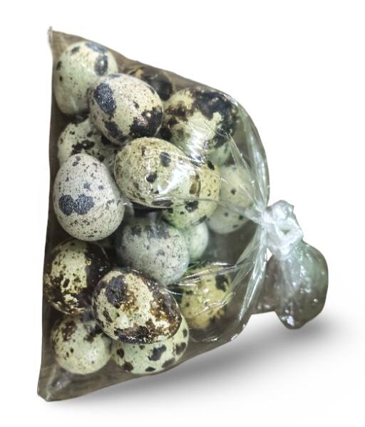 Quail Egg (Itlog Pugo) 20s